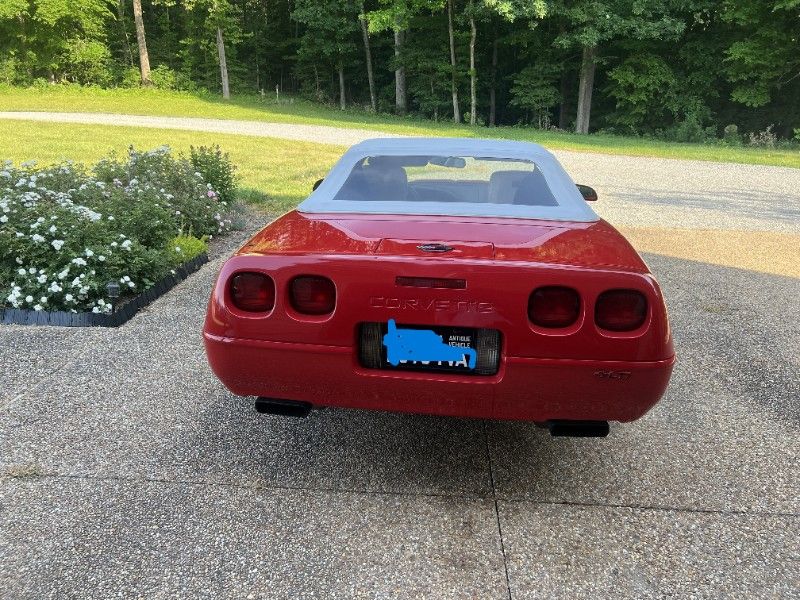 Corvette16notag.jpeg